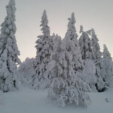 Huoneisto Käenpesän Aihki Iso-Syöte