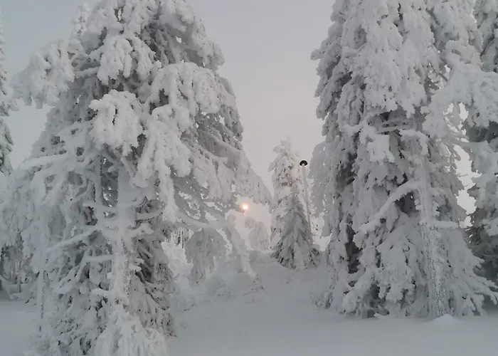 Kaeenpesaen Aihki Syöte