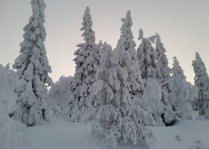 Apartman Kaeenpesaen Aihki Syöte